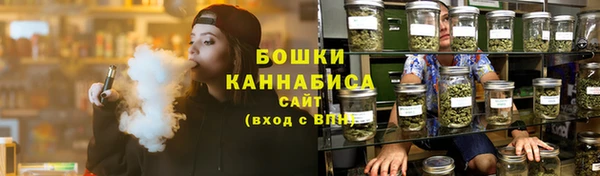 стафф Зеленокумск