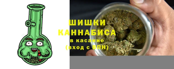 стафф Зеленокумск