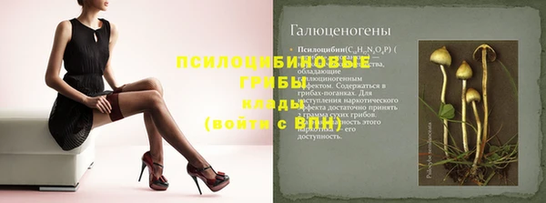 стафф Зеленокумск