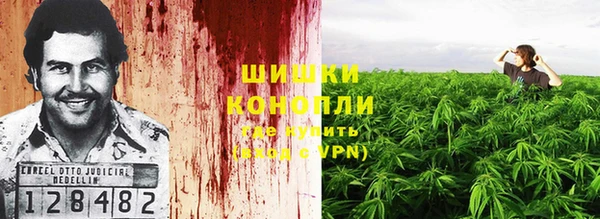 стафф Зеленокумск
