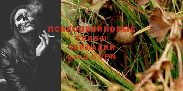 амф Зеленодольск