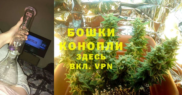 стафф Зеленокумск