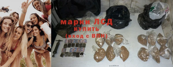 стафф Зеленокумск