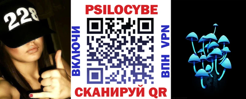 Псилоцибиновые грибы Psilocybine cubensis  Купить где  Магадан 